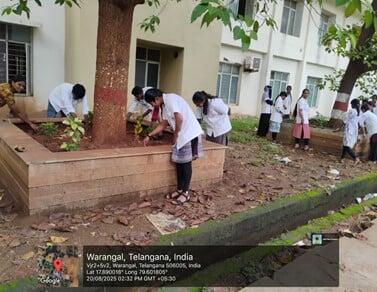 'Green Pharmacy' integrated curriculum for a Holistic Learning